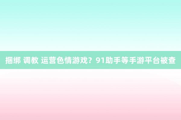 捆绑 调教 运营色情游戏?91助手等手游平台被查