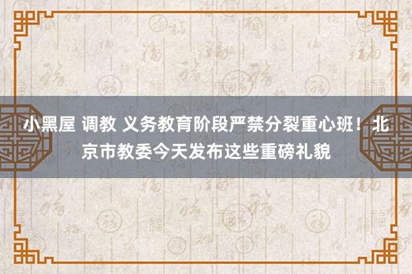 小黑屋 调教 义务教育阶段严禁分裂重心班!北京市教委今天发布这些重磅礼貌