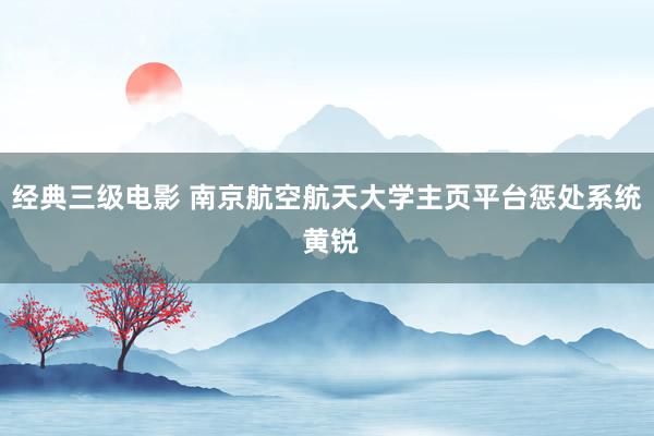 经典三级电影 南京航空航天大学主页平台惩处系统 黄锐